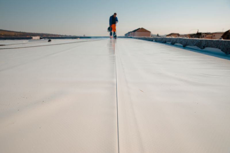 Interior Roof Coatings