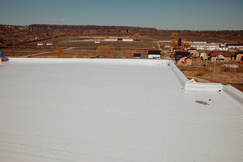 Roof Coating